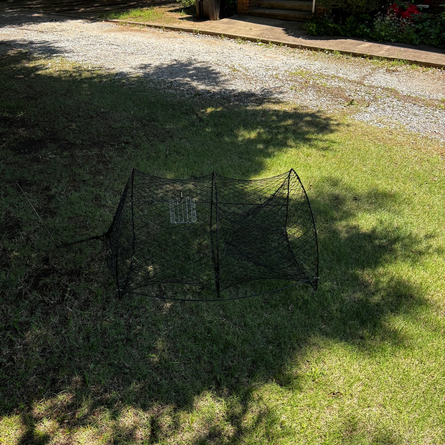 D Hoop Metal Frame/Mesh Netting Trap