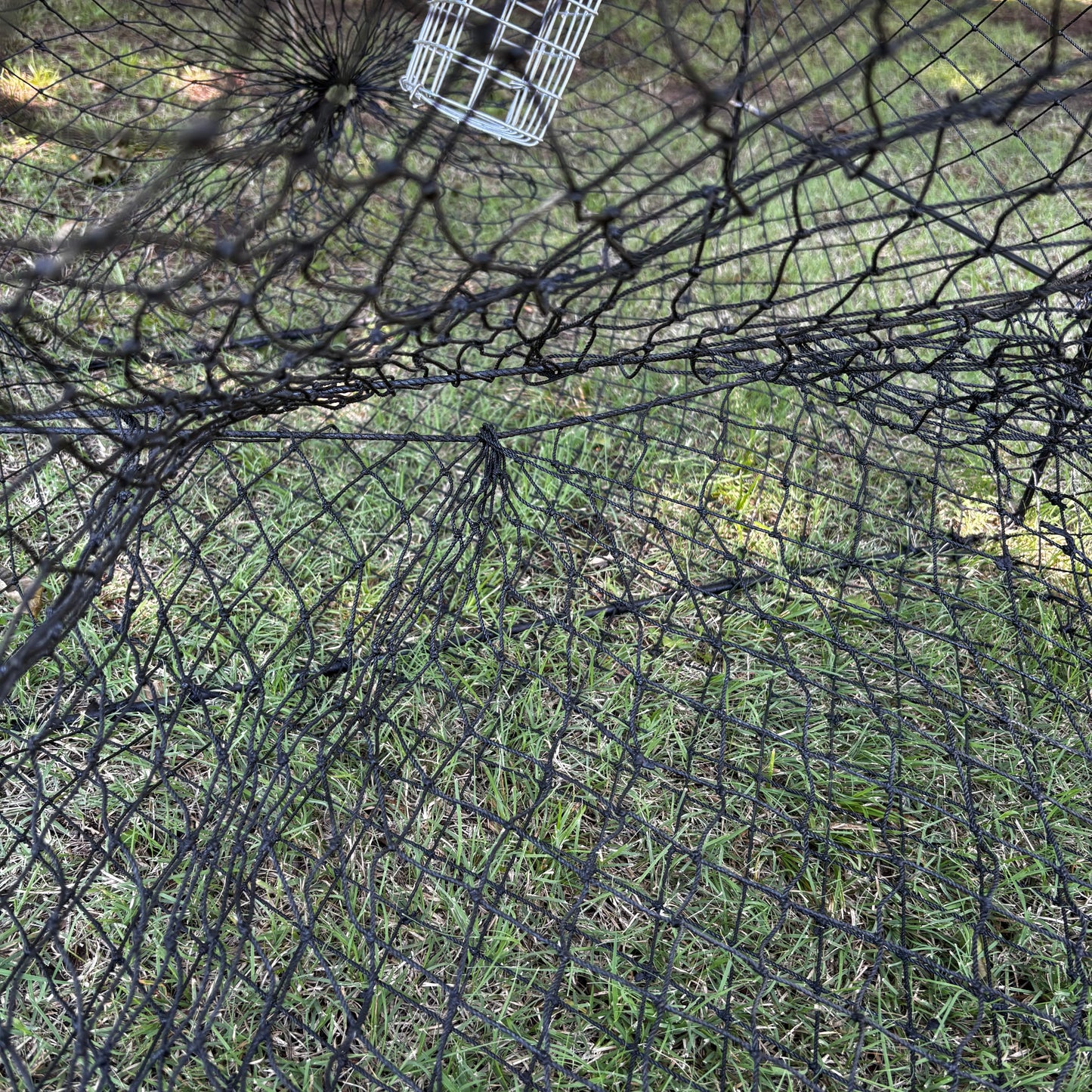D Hoop Metal Frame/Mesh Netting Trap