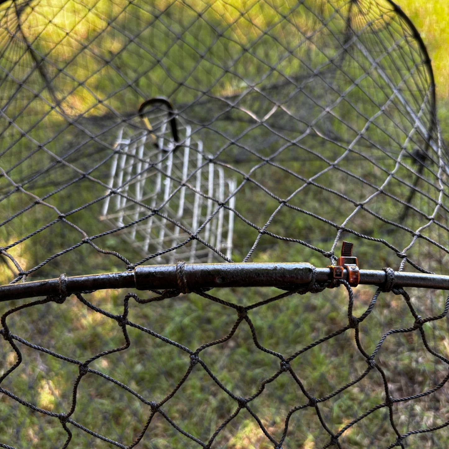 D Hoop Metal Frame/Mesh Netting Trap